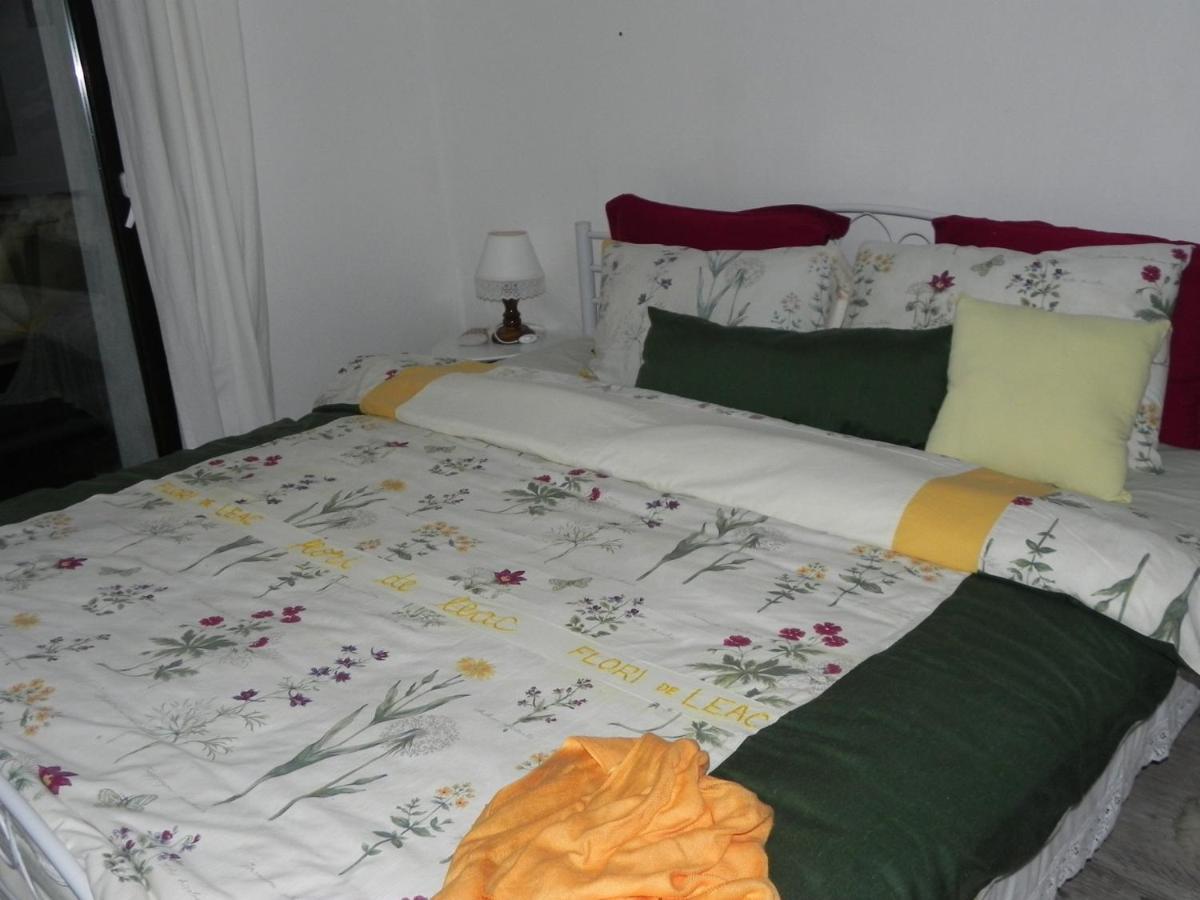 Hotel Iedera Casa De Familii 1 Pianu de Sus Esterno foto