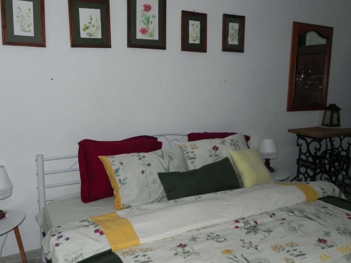 Hotel Iedera Casa De Familii 1 Pianu de Sus Esterno foto