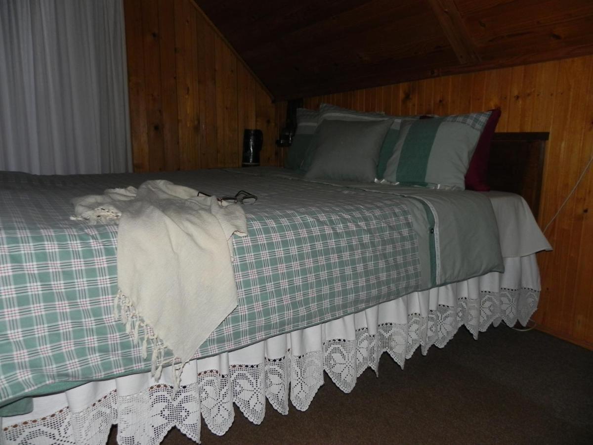 Hotel Iedera Casa De Familii 1 Pianu de Sus Esterno foto